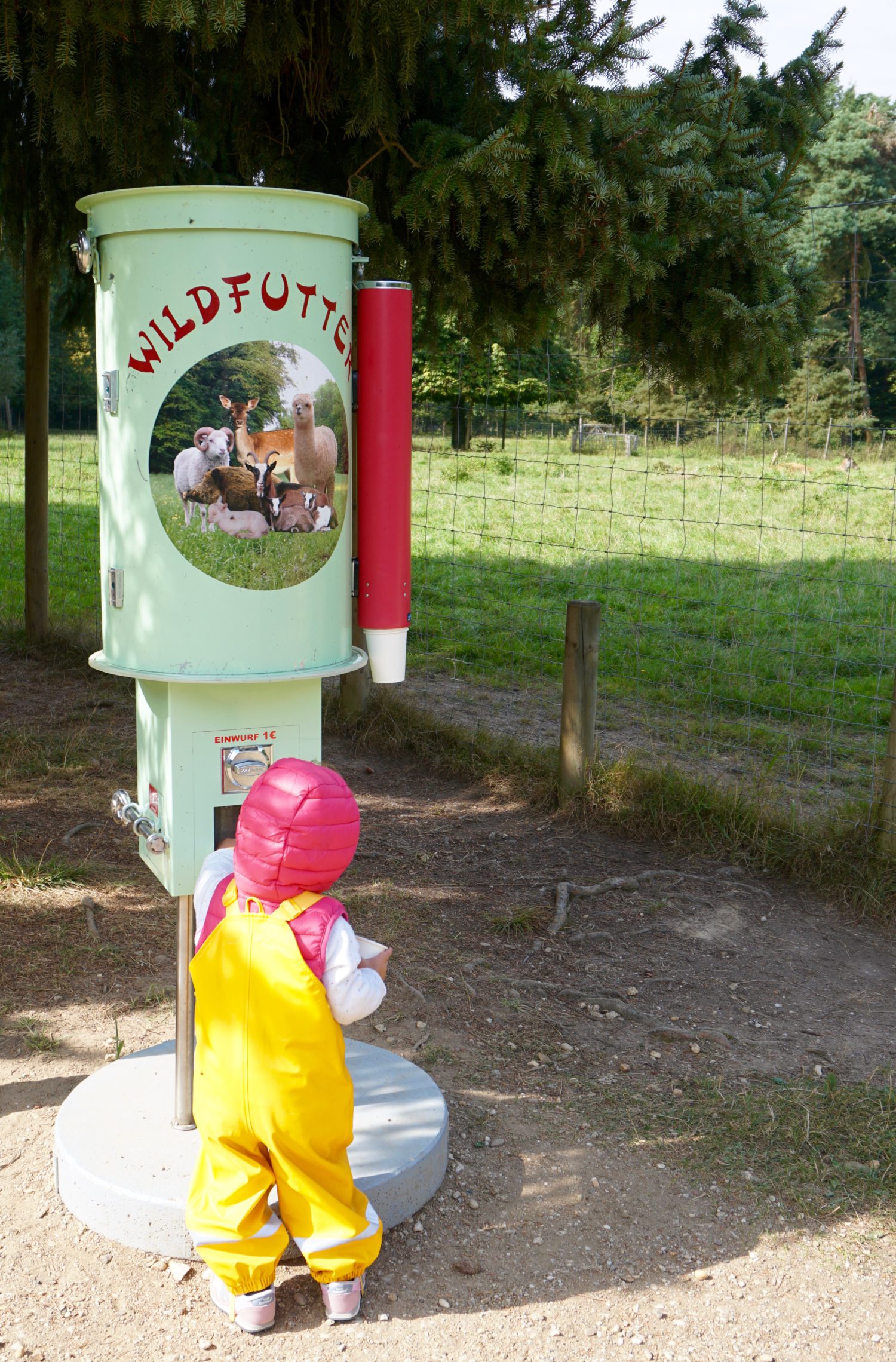 spielplatz-plus-wildpark-waldau-in-bonn15