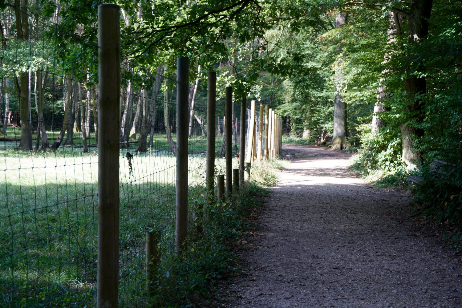 spielplatz-plus-wildpark-waldau-in-bonn23