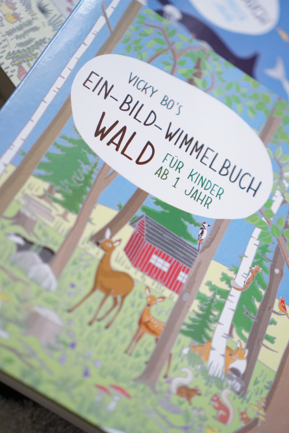 Malen und Lesen mit Vicky Bo, Ein-Bild-Wimmelbuch Wald